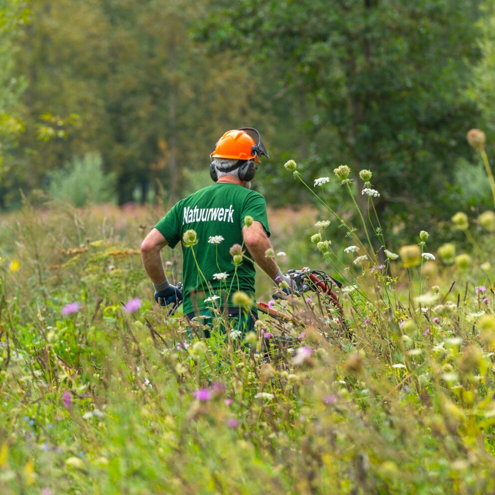 stage-natuurwerk-pilootproject-tomLinster