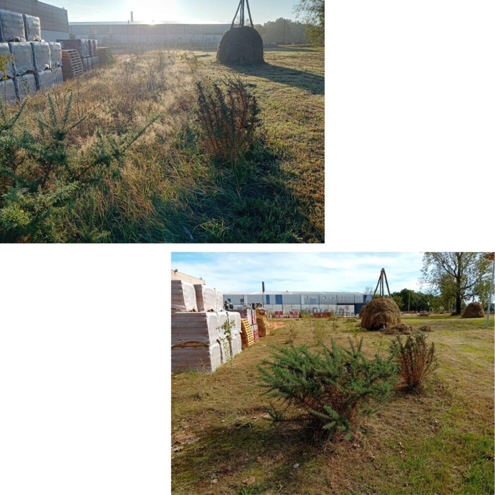 Wienebergen