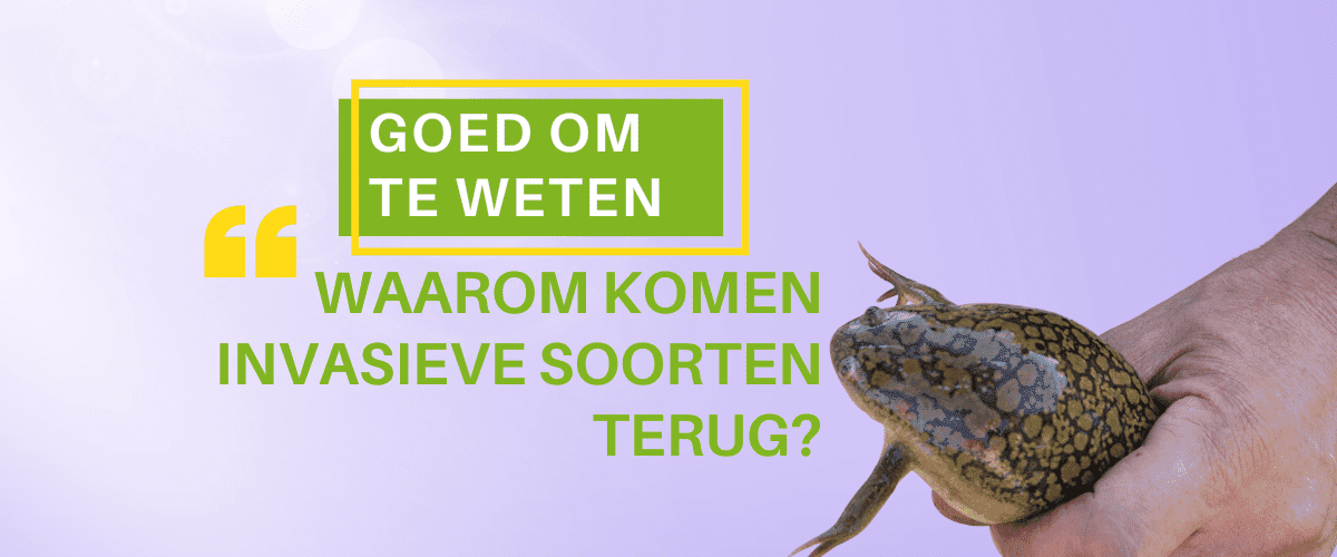 Linkedin-artikles-templates---LinkedIn----4