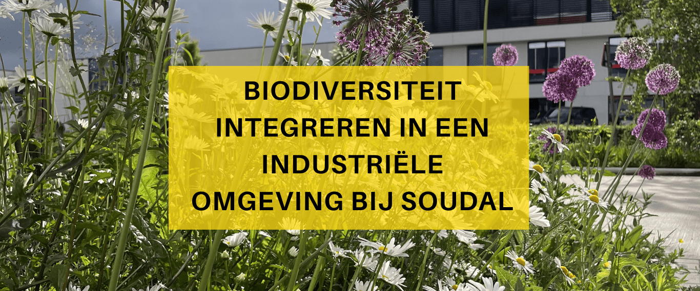 Trots-op-onze-mensen.-Trots-op-onze-impact.--5