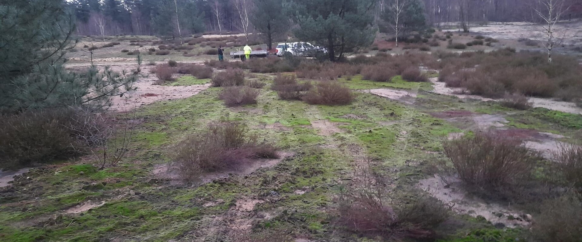 Verwijderen-mos-Hoge-Heide-Lichtaart-februari-2024_12