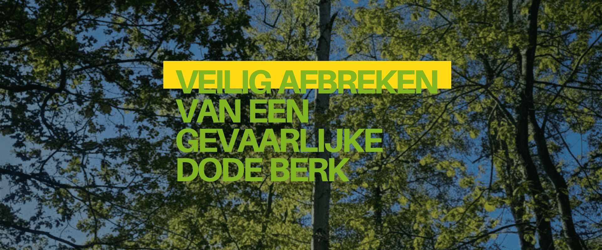 Ecologisch-maaibeheer-in-de-praktijk-grote-banner-2