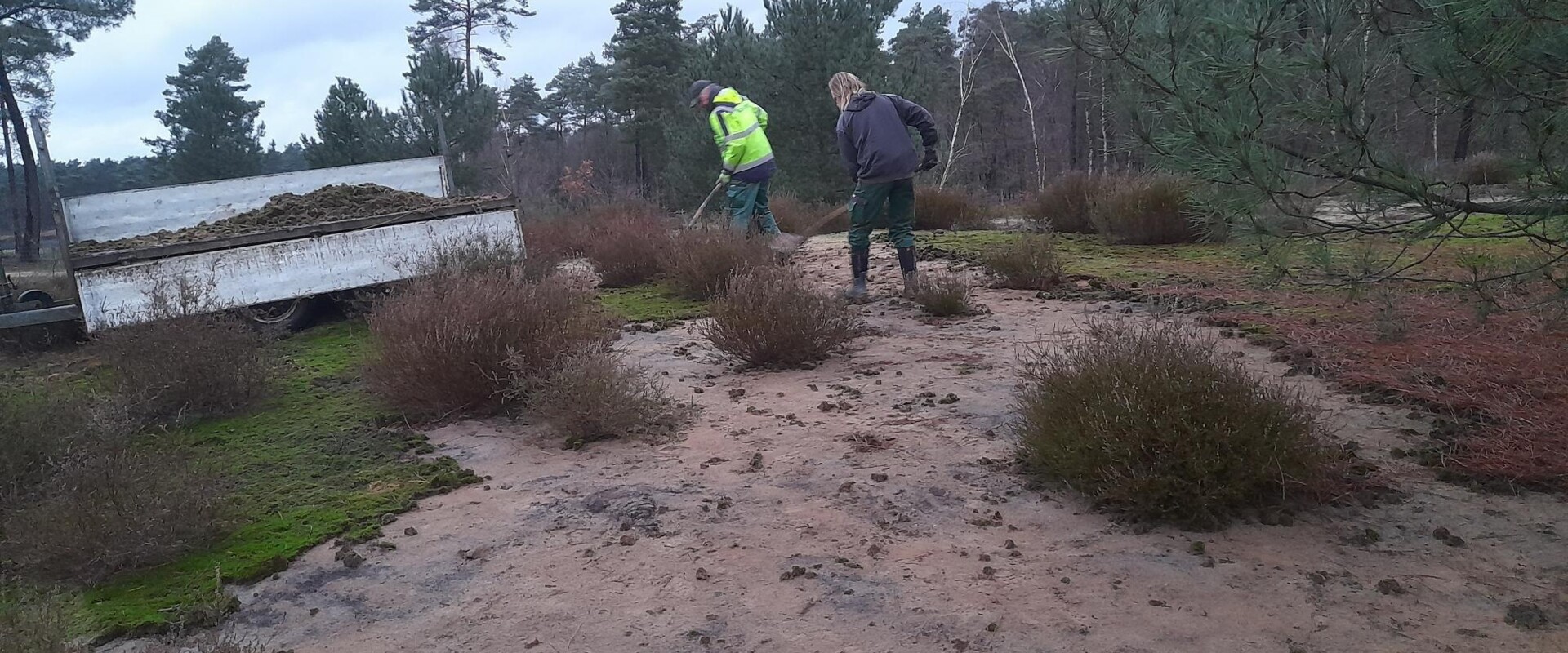Verwijderen-mos-Hoge-Heide-Lichtaart-februari-2024_9