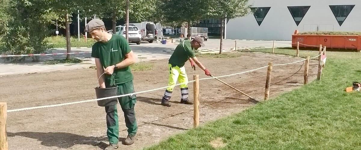 Omvorming-gazon-Provinciehuis-Antwerpen_2