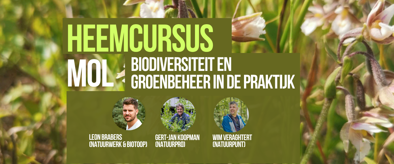 HEEMCURSUS-Mol_NatuurproNatuurwerk--1