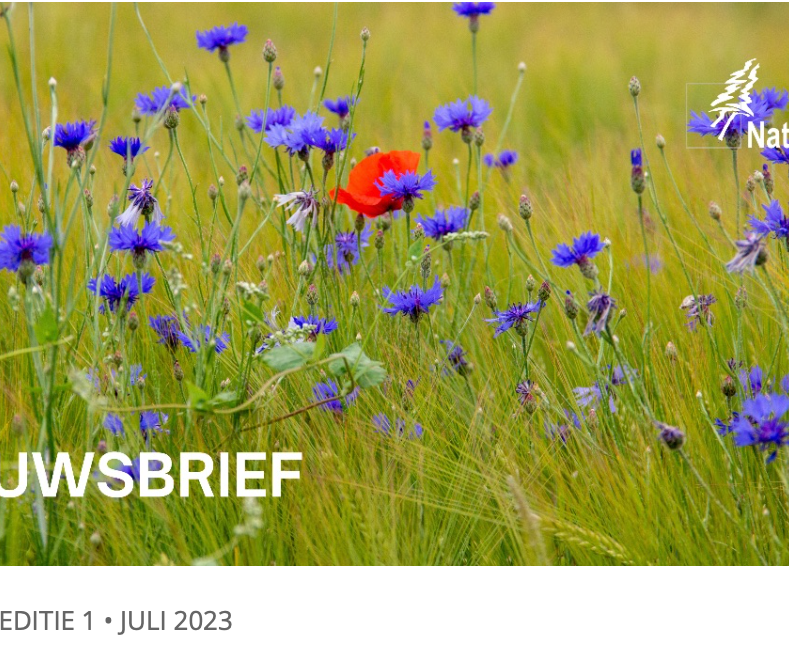 Nieuwsbrief 1 - Juli 2023 - Het zomert bij Natuurwerk