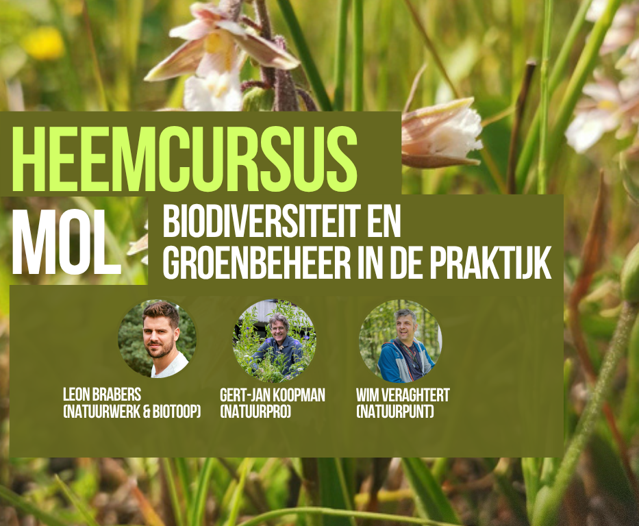 Heembeheer in de praktijk: van biodiversiteit naar concrete toepassing