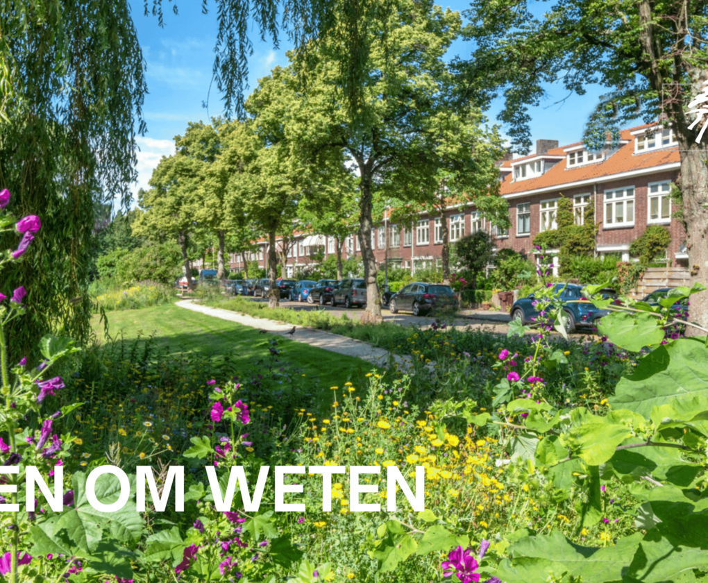 Groen om weten
