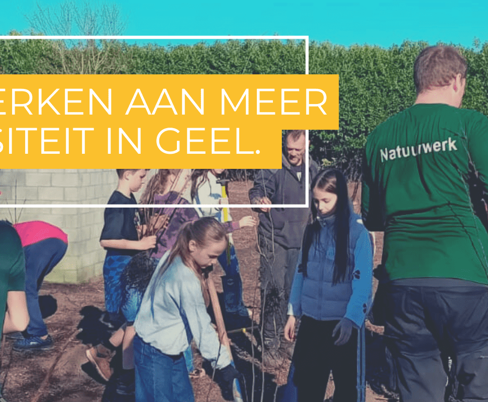 Samen met Stad Geel versterken we de natuur in Zammel