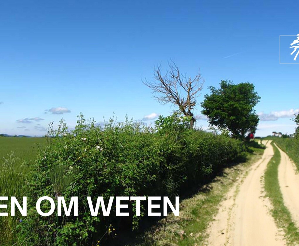 Groen om weten