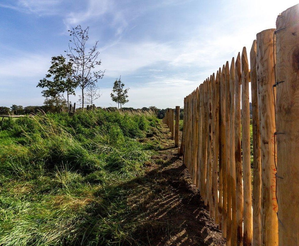 Aan de Stadboerderij in Turnhout werd de afrastering van de schapenweide volledig vernieuwd.