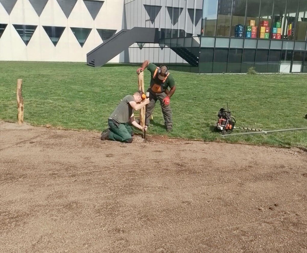 Omvorming tot bloemenweide