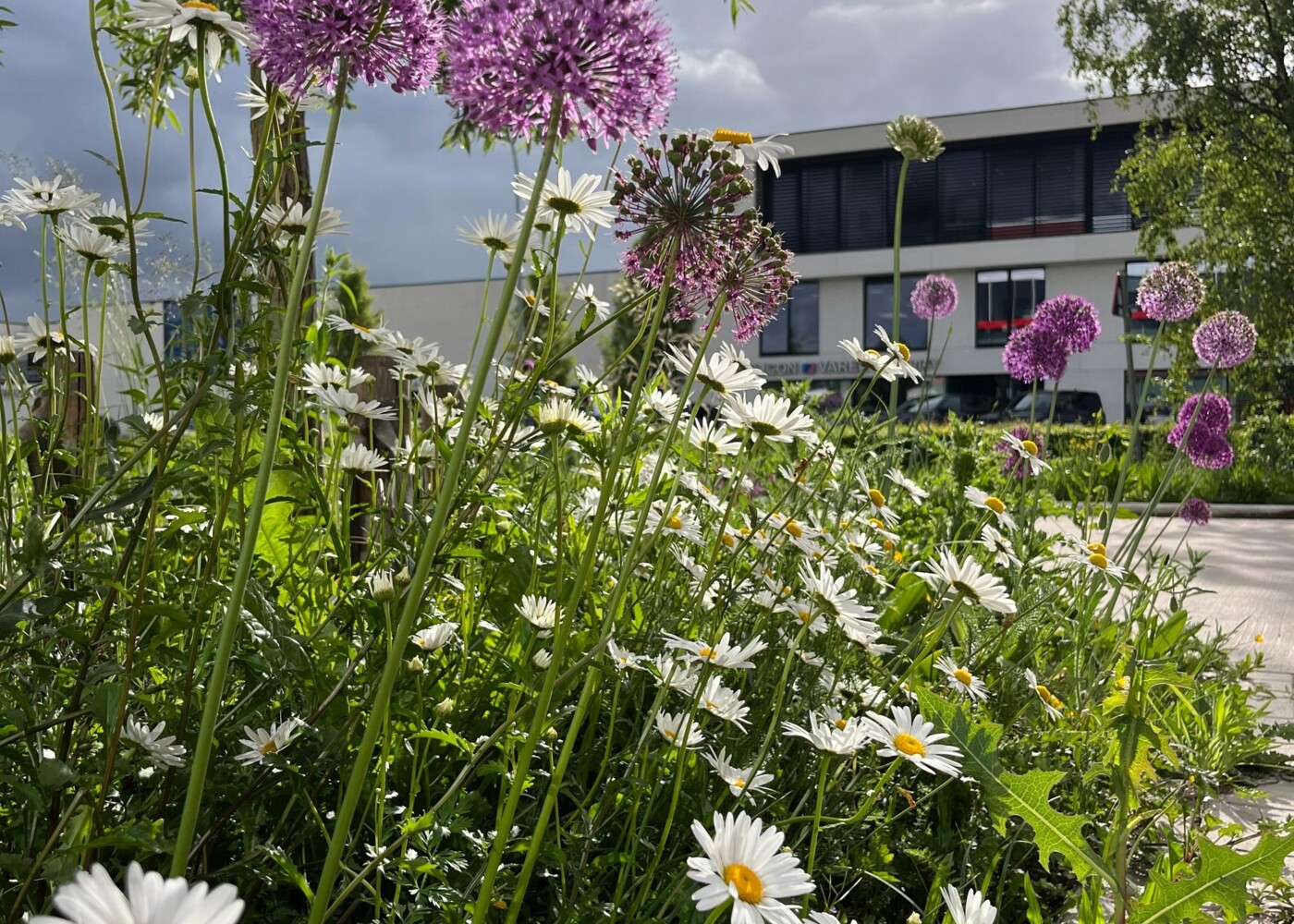 Biodiversiteit integreren in een industriële omgeving bij Soudal