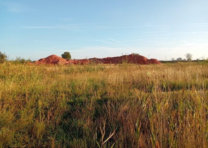 Strategische ecologische terreinontwikkeling bij Wienerberger